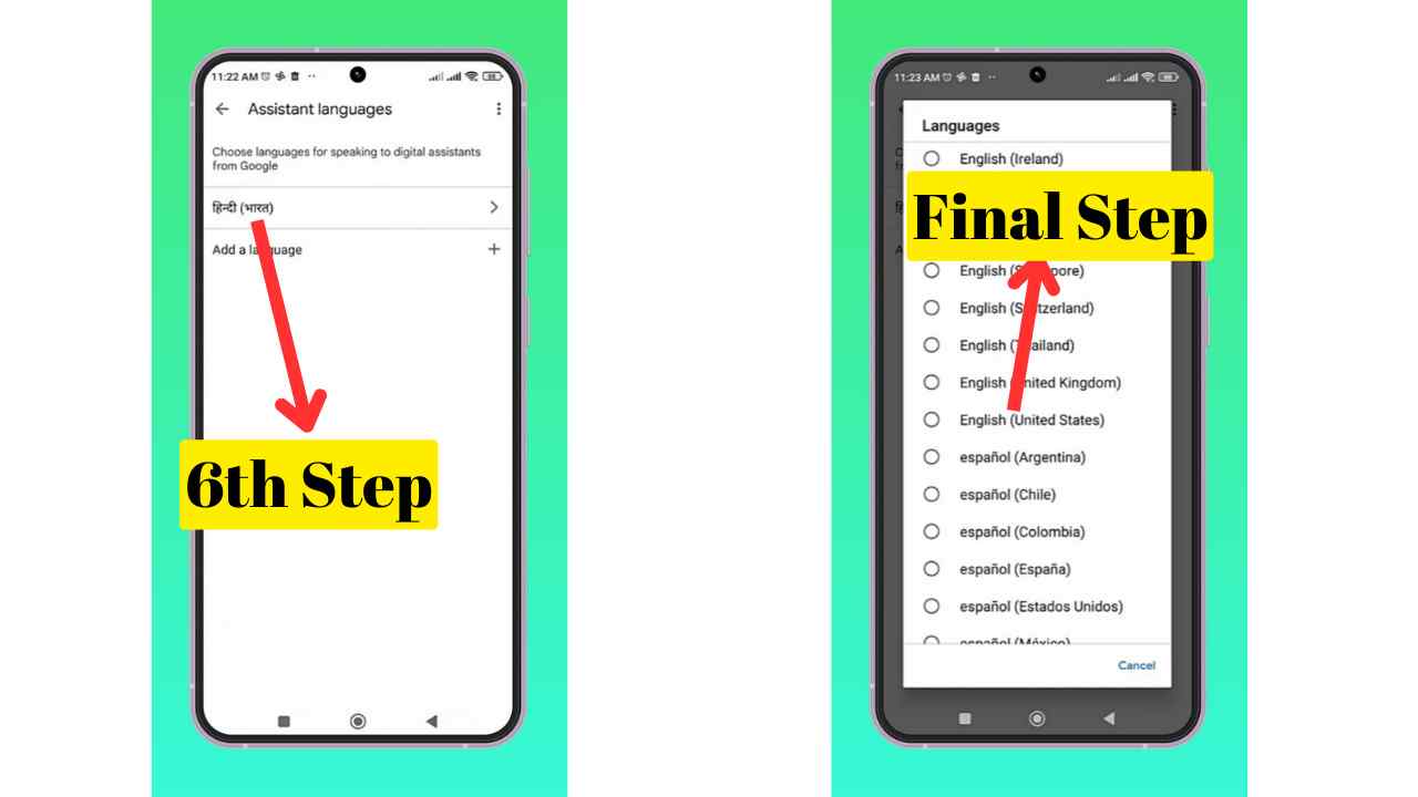 How to install gemini app in india